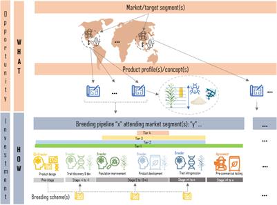 Breeding Schemes: What Are They, How to Formalize Them, and How to Improve Them?